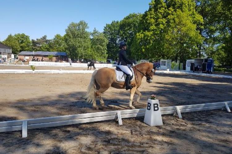 RuFV Rodebachtal u. Umg. 1973 e.V.