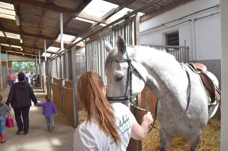 RuFV Rodebachtal u. Umg. 1973 e.V.